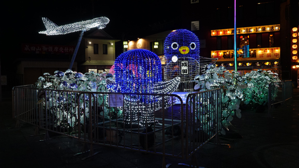 250121 DSC02471.JPG