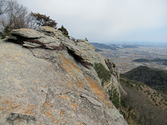 250225 IMG_8079.JPG