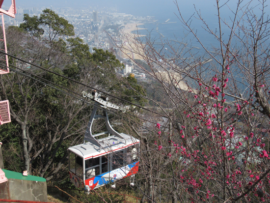 250302 IMG_8196.JPG