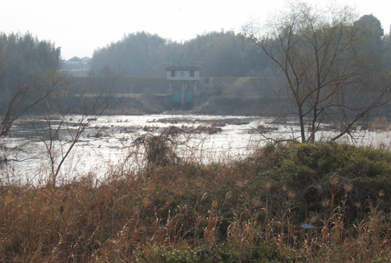 250323 IMG_8917.JPG