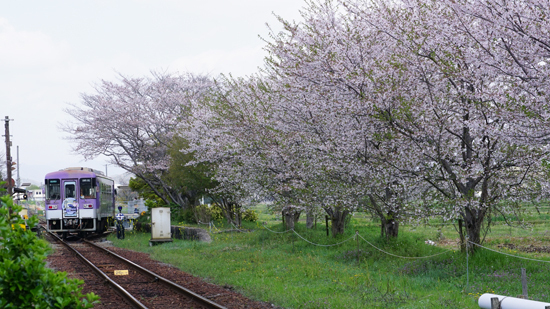 250418 DSC00024.JPG